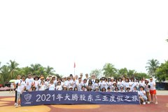 团队